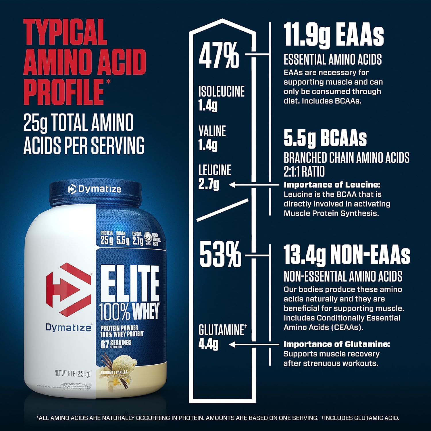 Dymatize Elite Whey Vanilla post-workout setup for recovery support