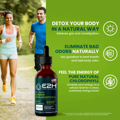 E2H Chlorophyll Drops in water showing greens infusion