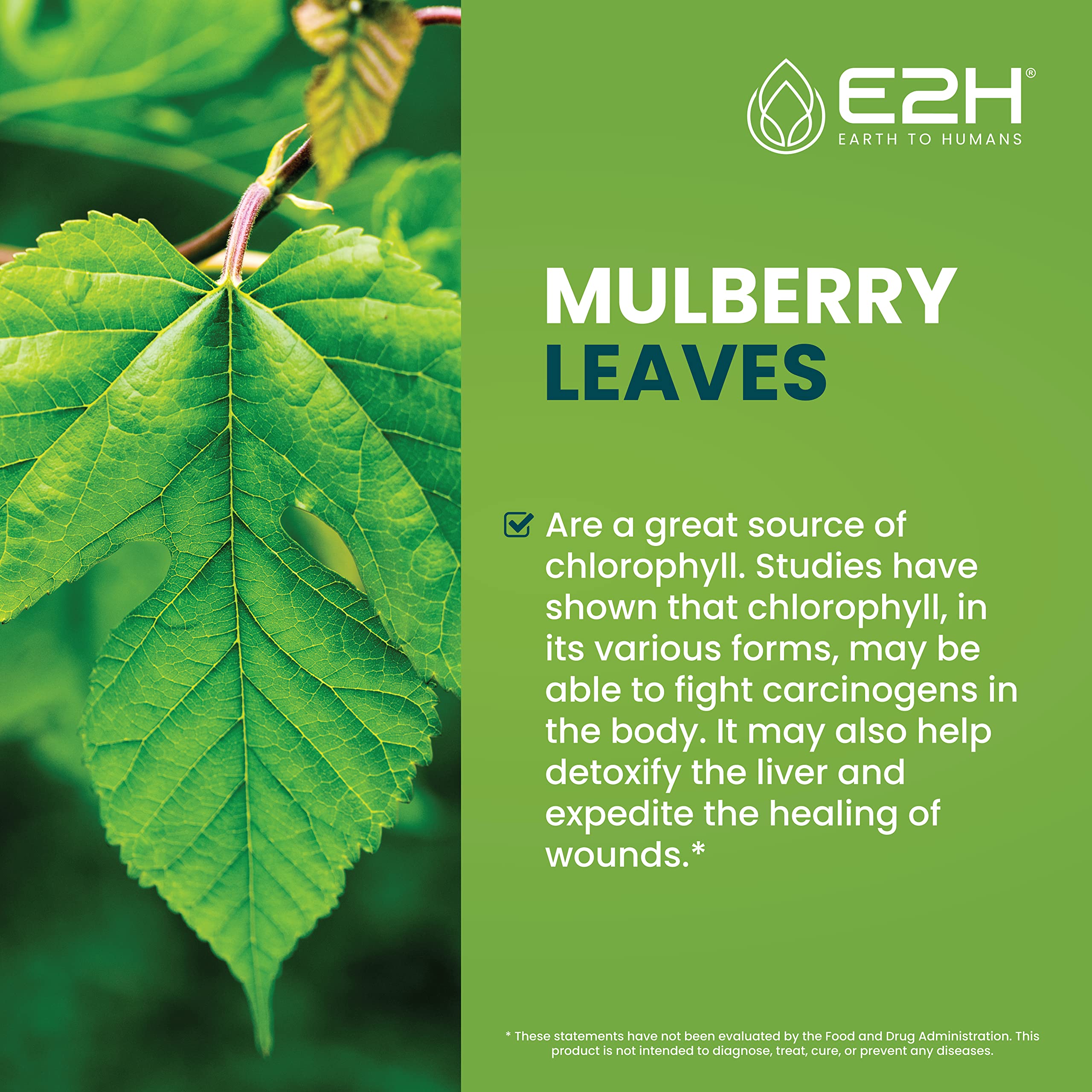 E2H Chlorophyll label close-up highlights vegan non-GMO status