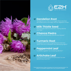 E2H liver support bottle with dandelion root visible for digestivelike benefits