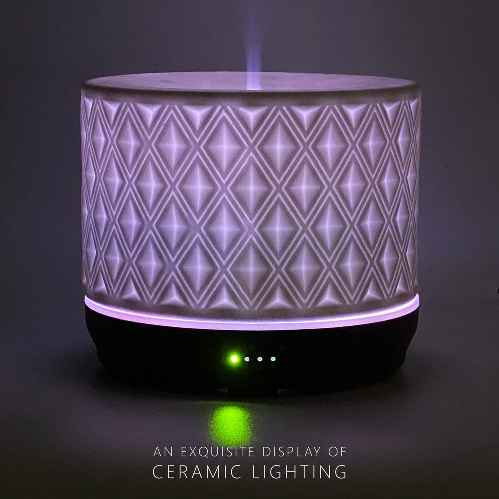 Earnest Living diffuser with four timer settings on a table