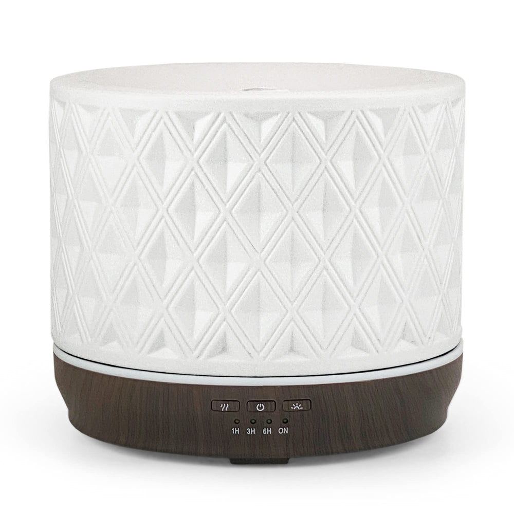 Earnest Living ceramic design diffuser shown as a decorative piece