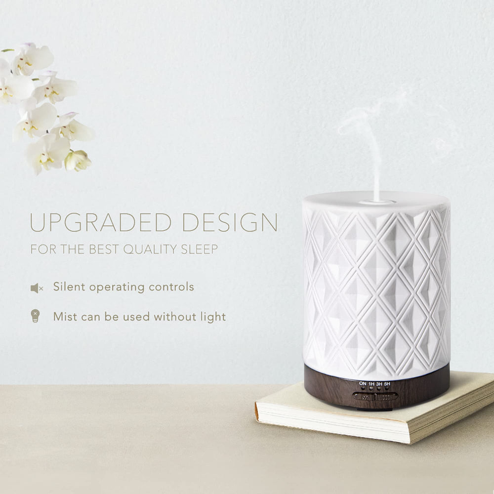Earnest Living large room diffuser ideal for open living spaces.