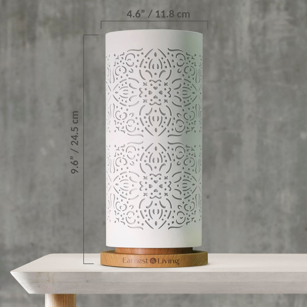 Gift packaging of Earnest Living diffuser ideal for celebrations.