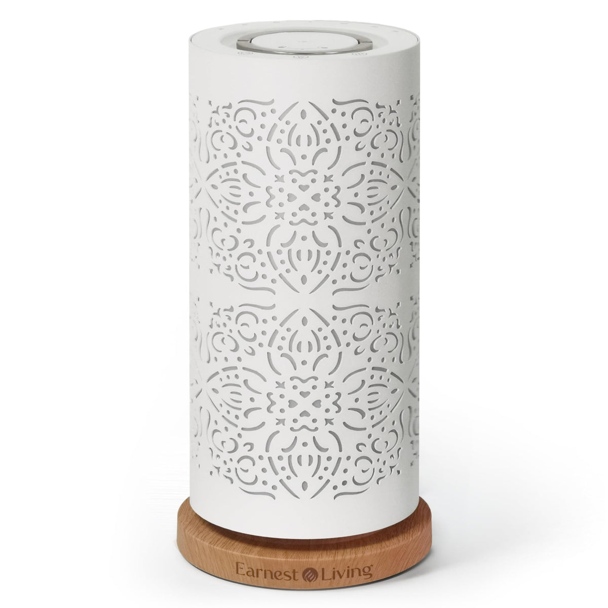 Earnest Living waterless diffuser with metal shell enhances modern interiors.
