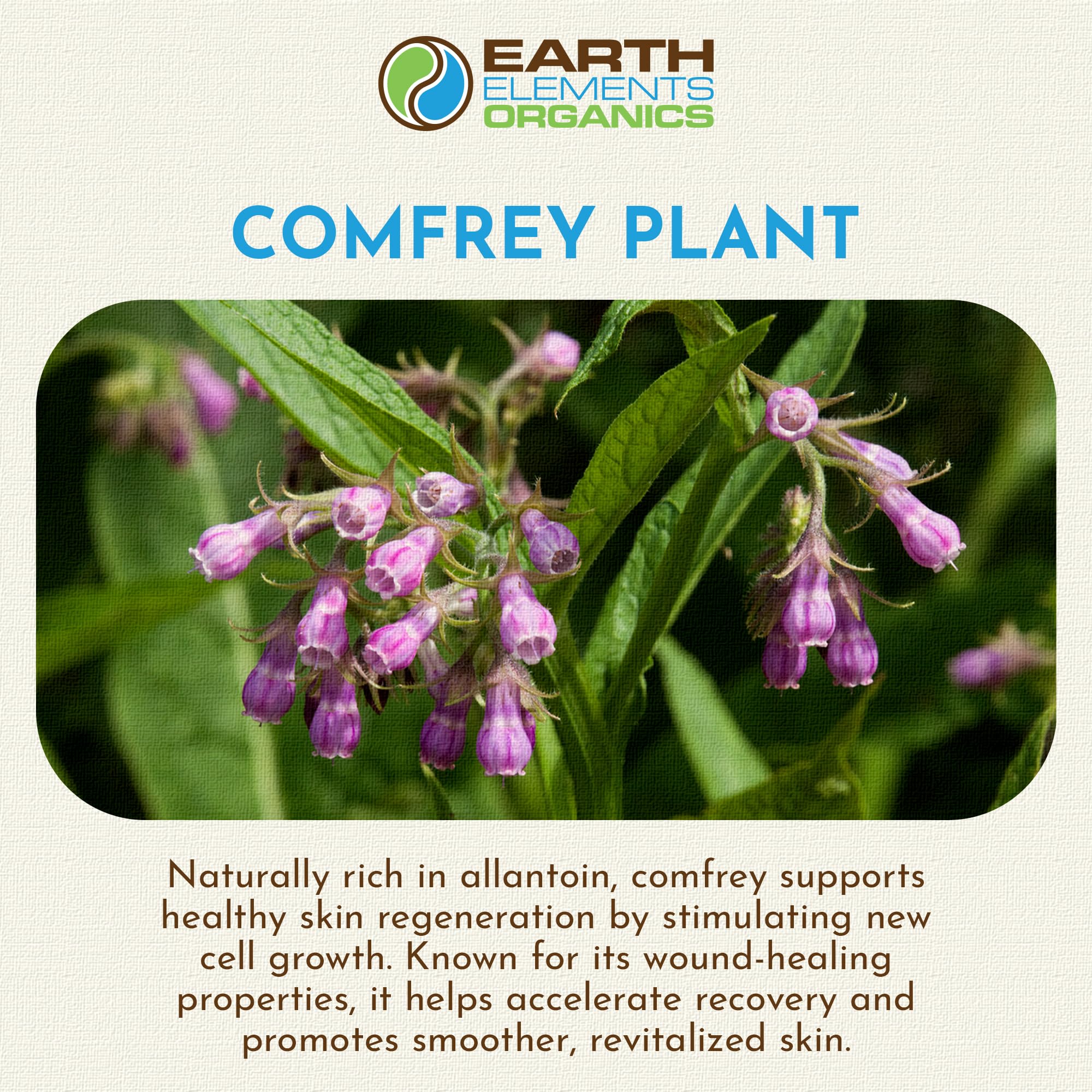 Earth Elements Organics Comfrey Oil with sunflower oil shows nourishing skin.