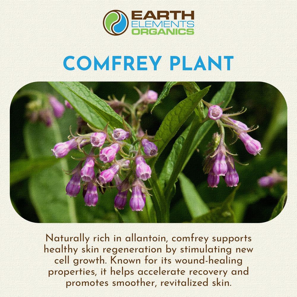 Earth Elements Organics Comfrey Oil with sunflower oil shows nourishing skin.