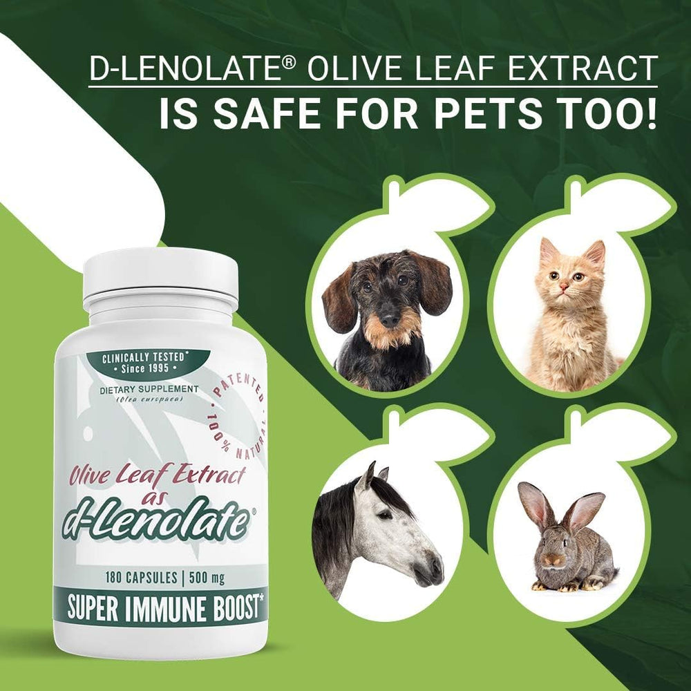 East Park Olive Leaf Extract oleuropein close-up highlights polyphenol-rich wellness