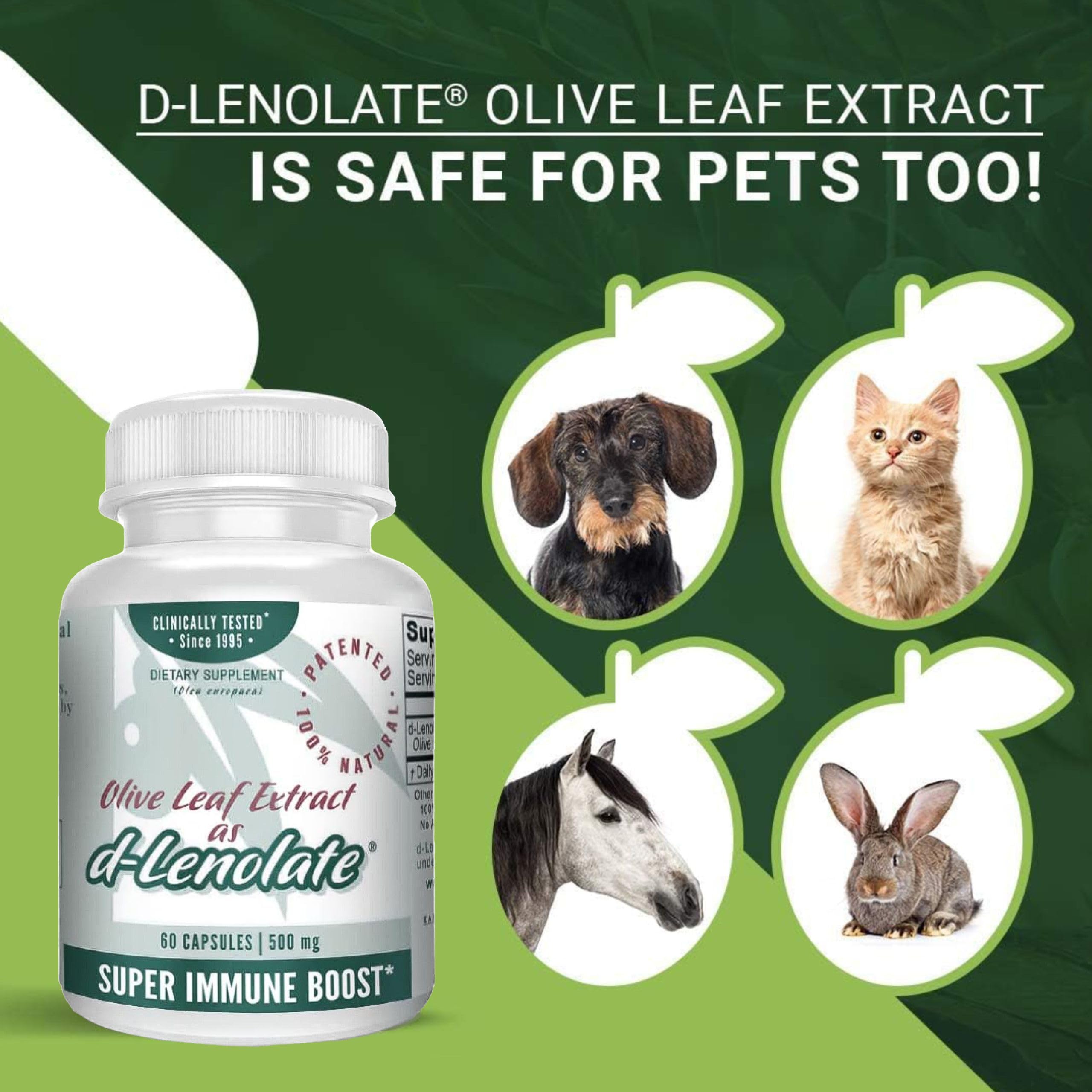 East Park olive leaf extract closeup capsule emphasizes pure, plant-based form.