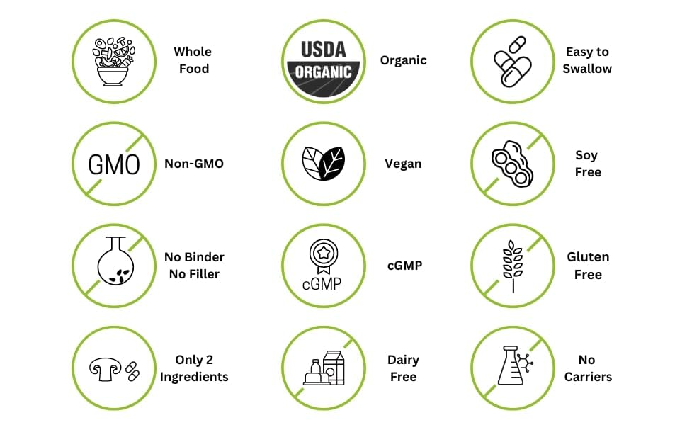 EAT INTACT gluten-free label confirms allergen-conscious packaging.