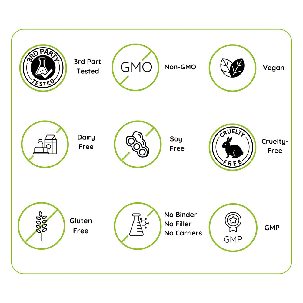 EAT INTACT vegan omega-3 retail display on store shelf