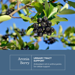 Eclectic Institute aronia capsules closeup showcases premium, allergen-friendly ingredients.