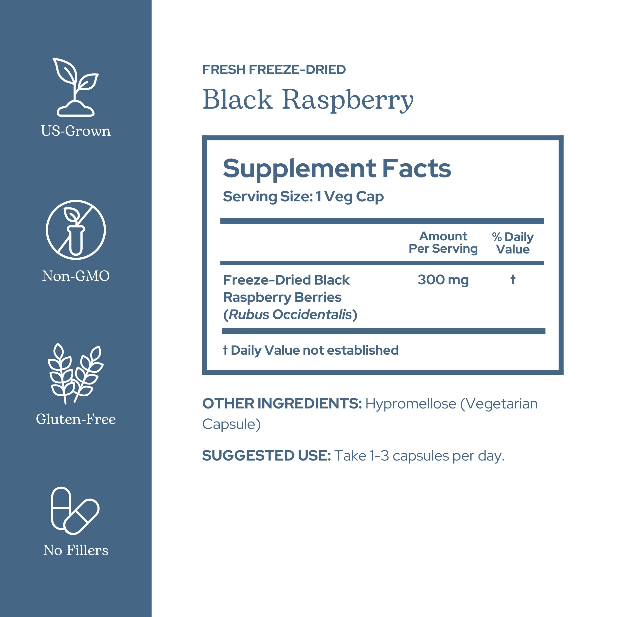 Eclectic Institute Eclectic Herb black raspberry label showing organic certification.