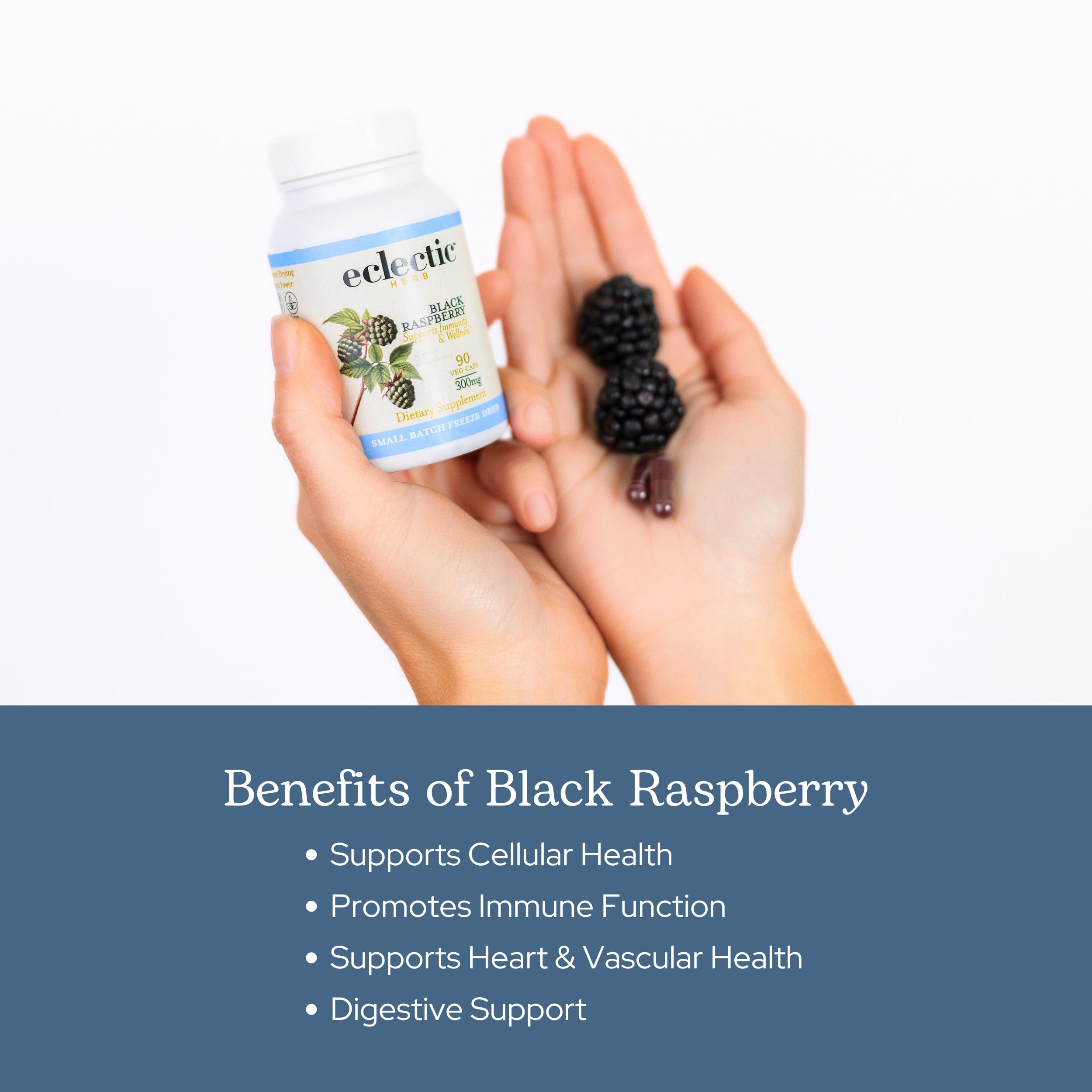 Eclectic Institute Eclectic Herb capsules close-up reveals smooth vegan capsules.