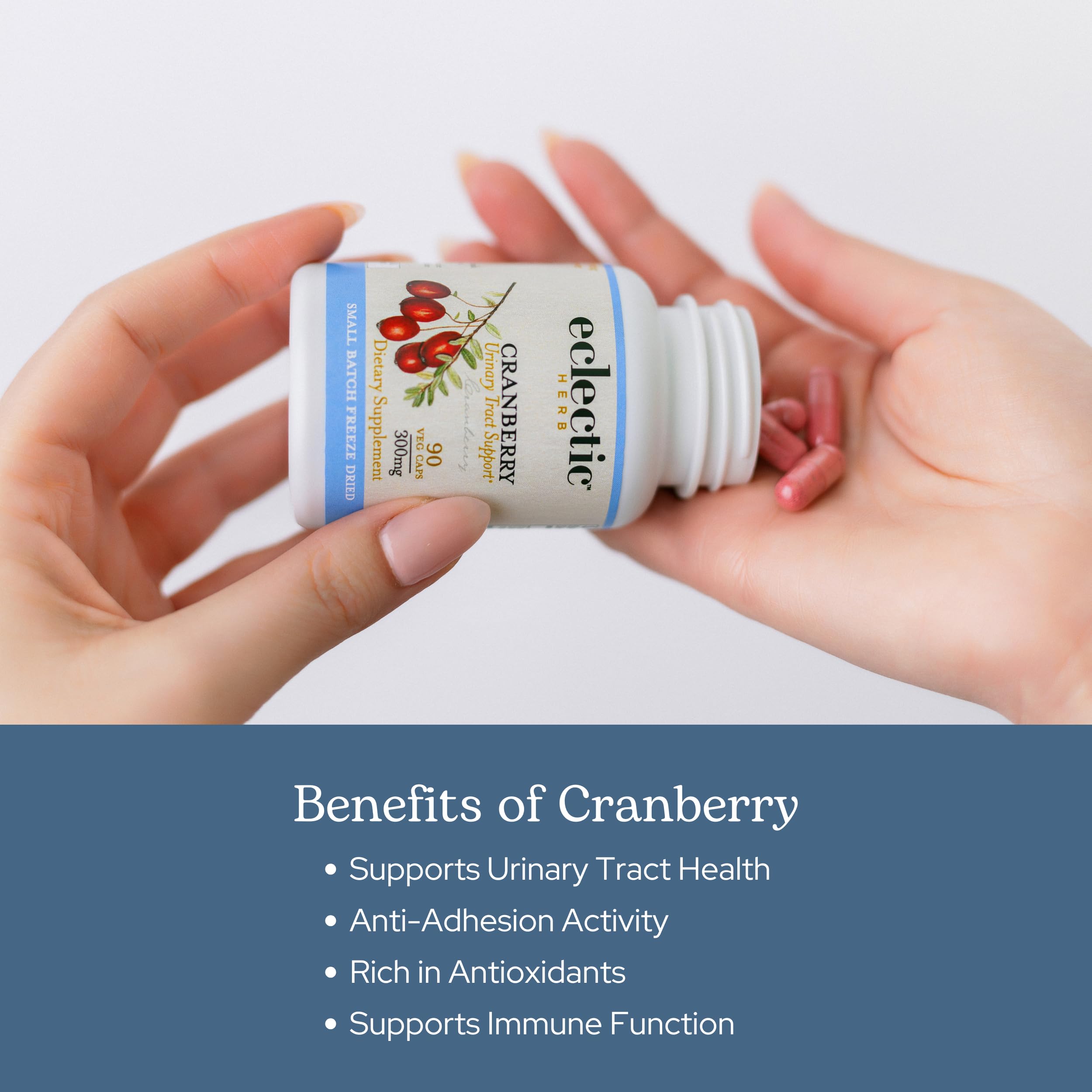 Eclectic Institute Cranberry label detail—organic, non-GMO, gluten-free assurance.