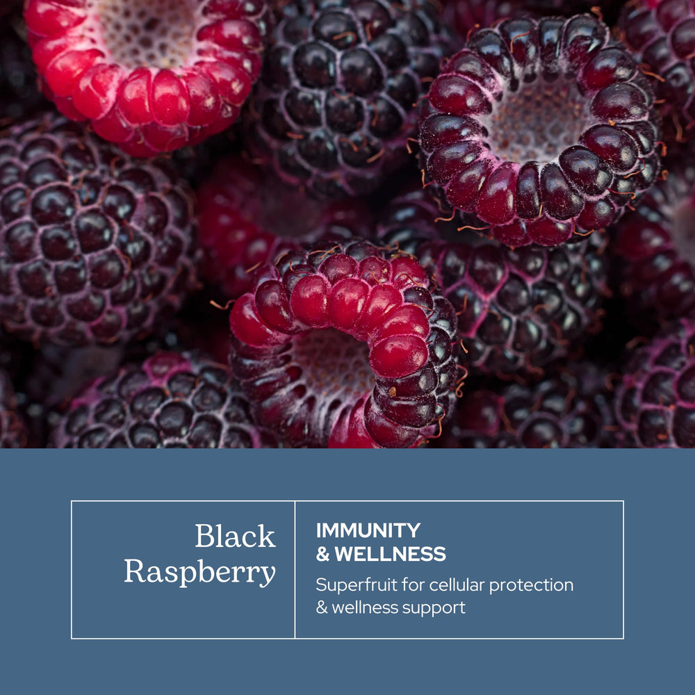 Eclectic Institute Eclectic Herb freeze-dried black raspberries close-up with vibrant berries.