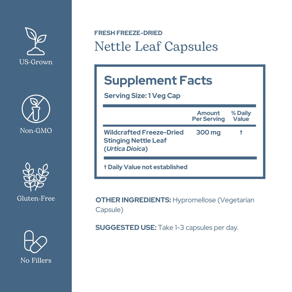 ECLECTIC INSTITUTE Eclectic Herb freeze-dried nettle closeup preserving minerals and vitality.
