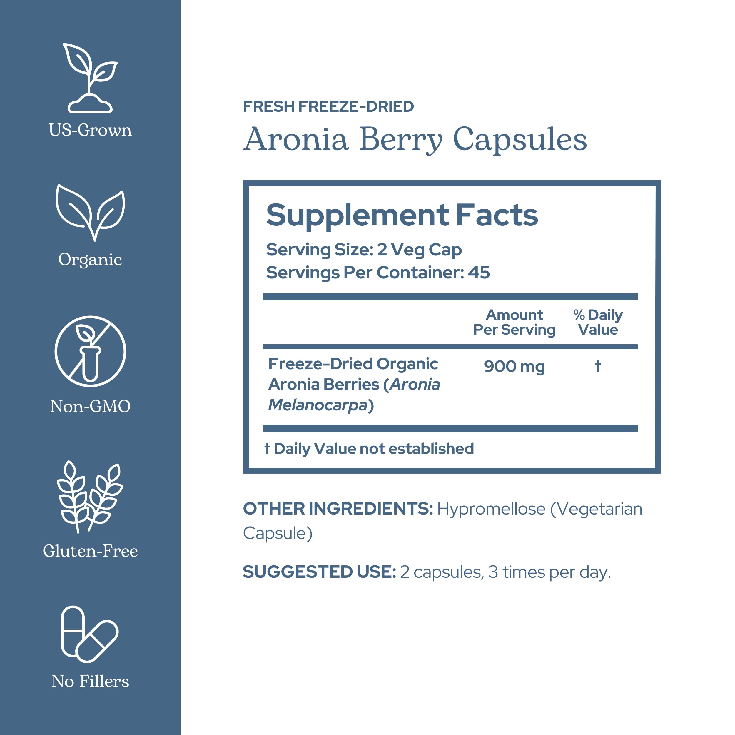 Eclectic Institute freeze-dried aronia berries highlight concentrated nutrients.