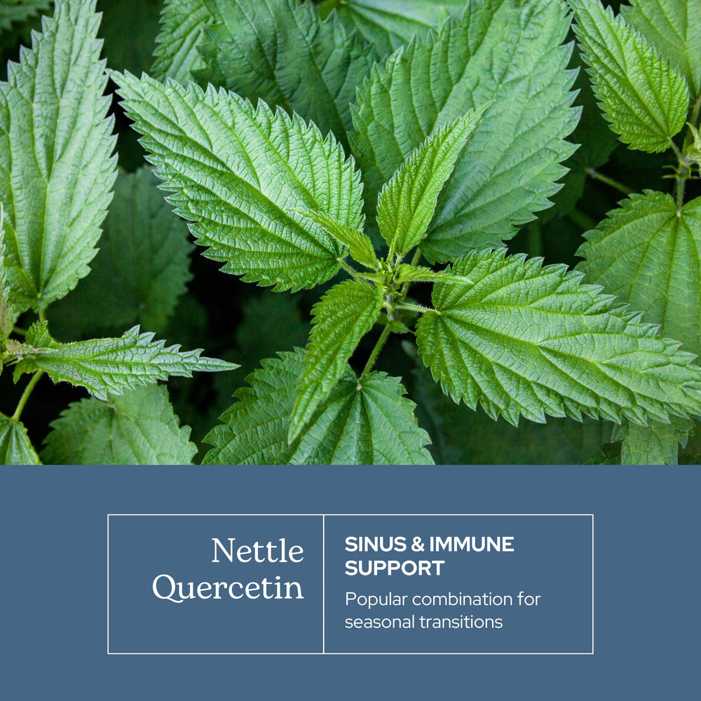 ECLECTIC INSTITUTE Nettle Quercetin freeze-dried nettle preserves minerals for natural vitality.