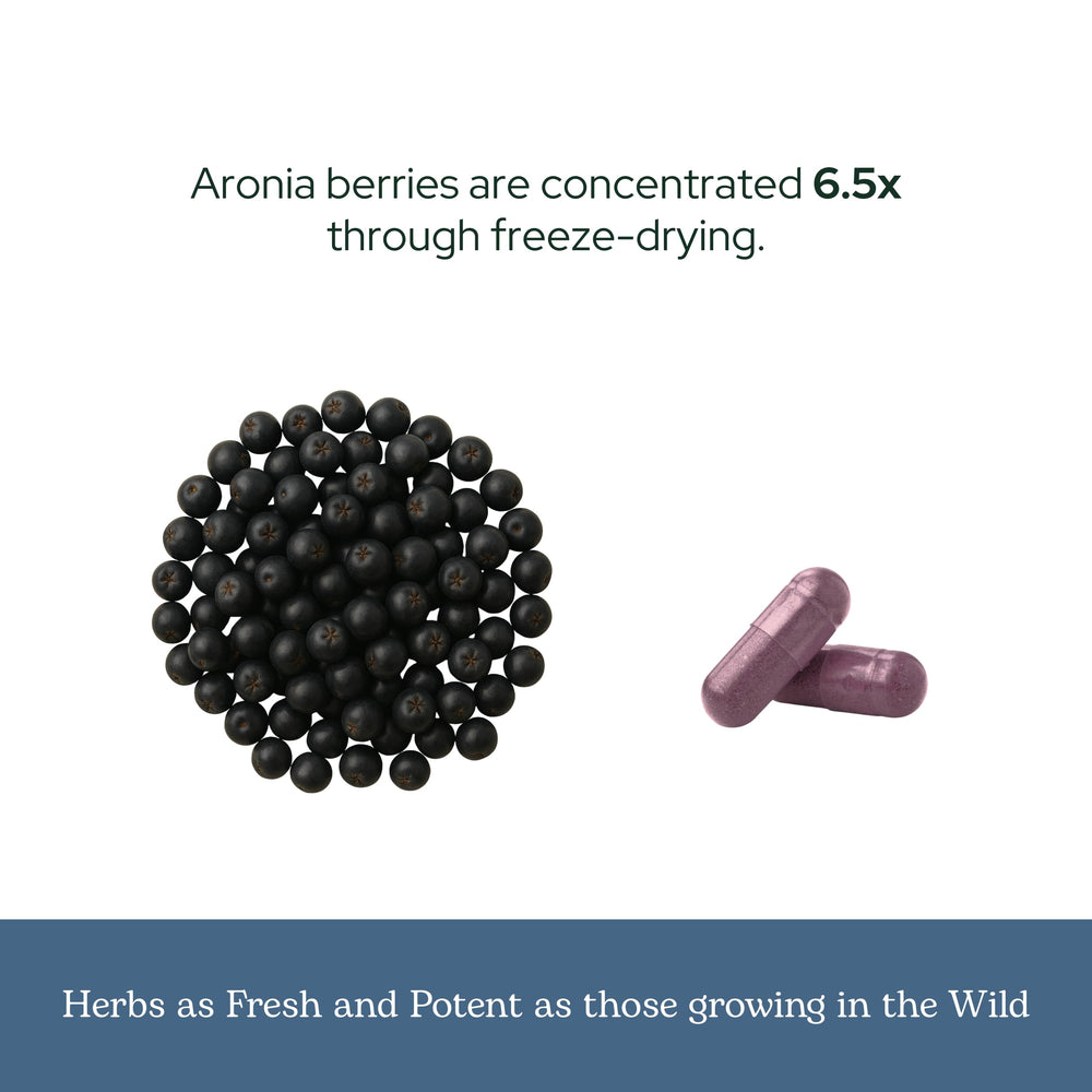 Eclectic Institute pouring aronia capsules for simple daily intake.