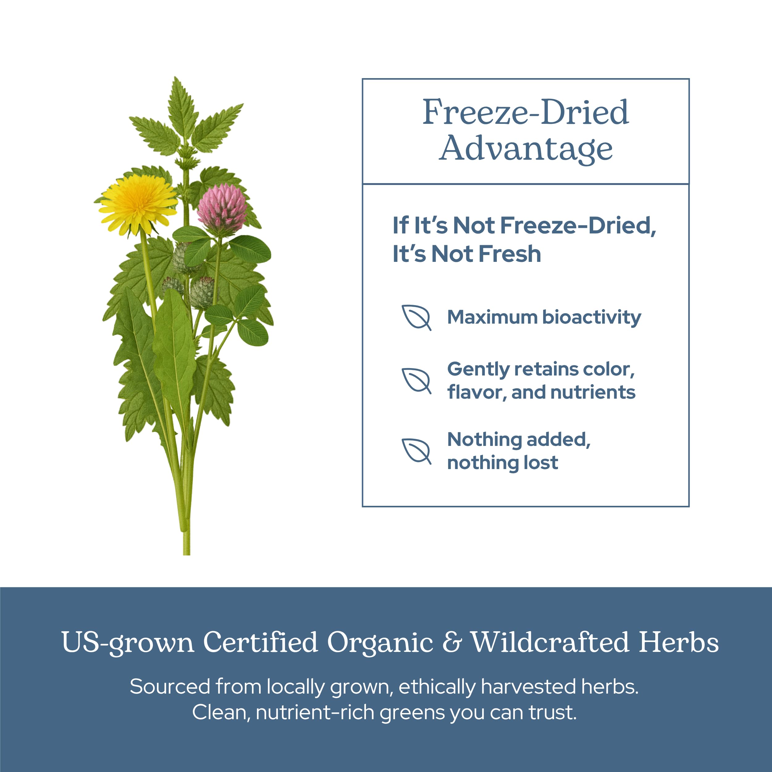 Eclectic Institute Whole herb supplements bottle is gluten-free and non-GMO.