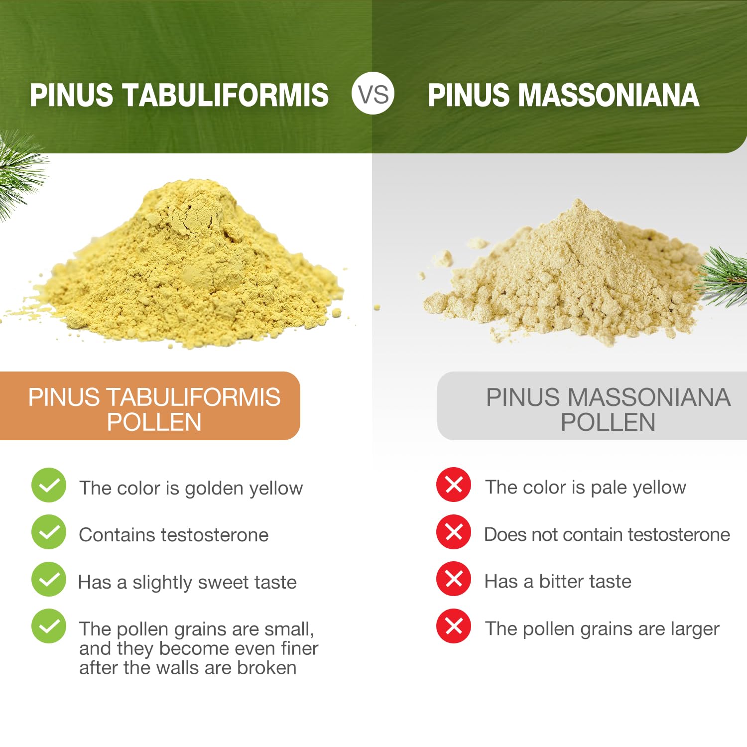 Wild-harvested Pinus tabuliformis origin underlines unique quality and sustainability.