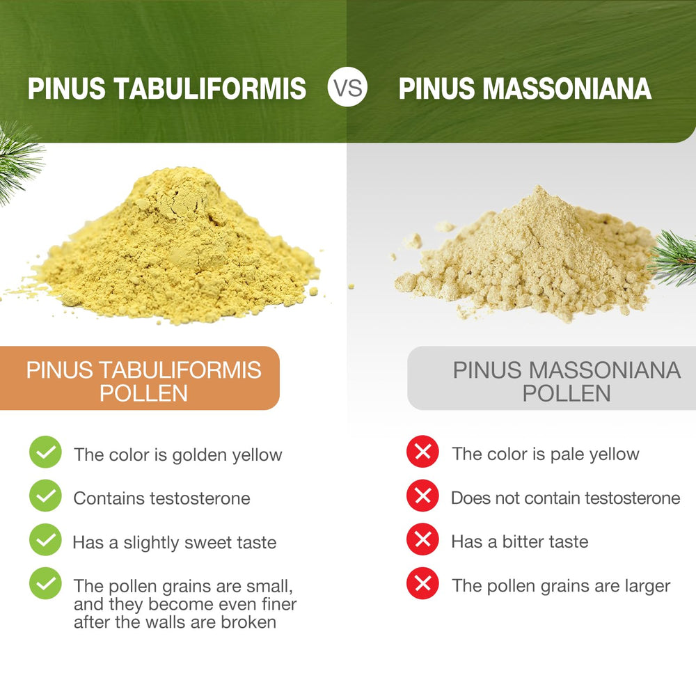 Wild-harvested Pinus tabuliformis origin underlines unique quality and sustainability.