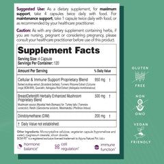 EcoNugenics BreastDefend mushroom blend close-up emphasizes reishi and turkey tail immune support