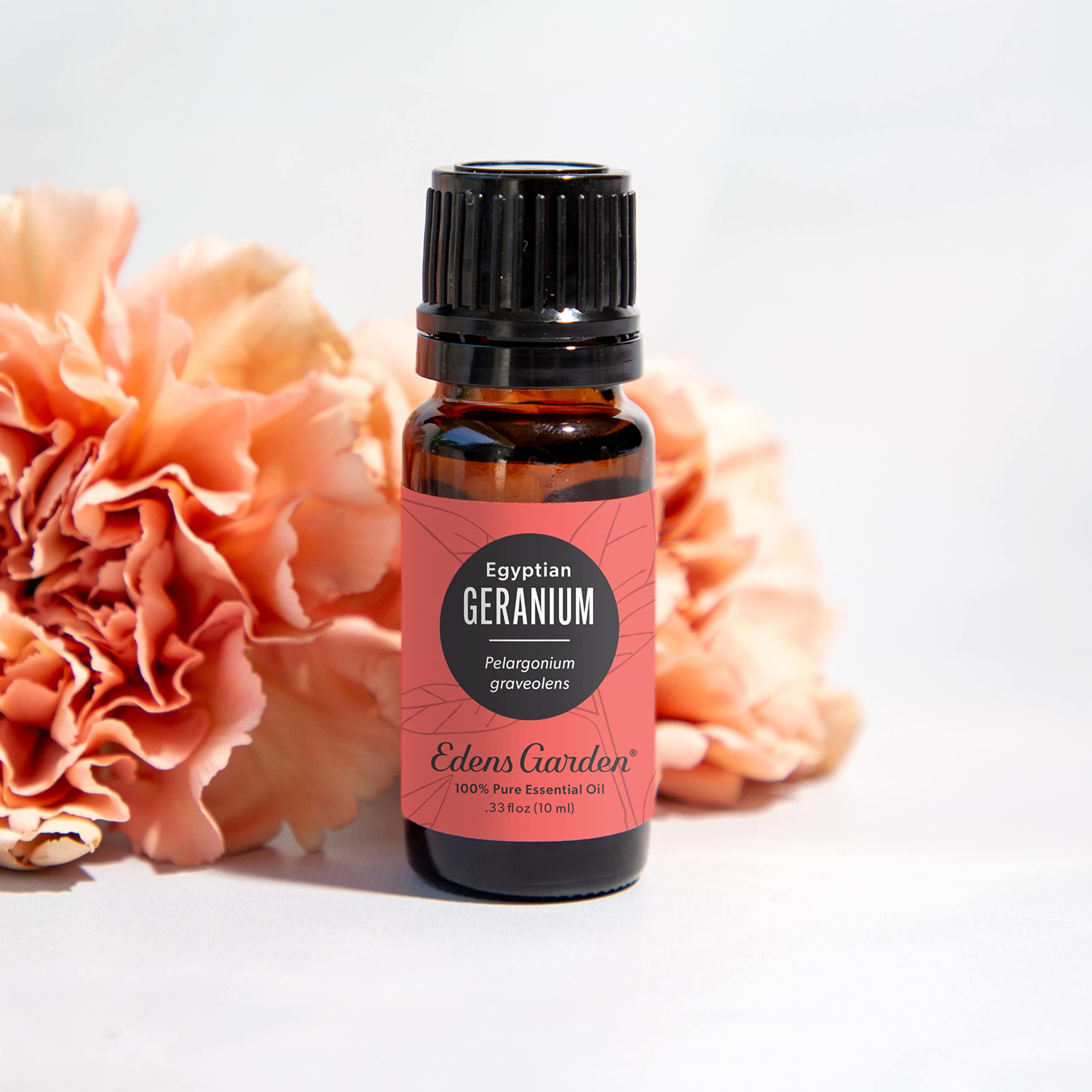 Edens Garden Geranium Egyptian essential oil dropper bottle for precise dispensing.