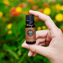Edens Garden Ginger Oil in diffuser releasing spicy, energizing fragrance