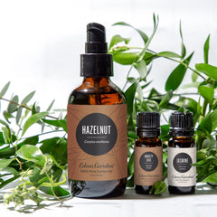 Edens Garden Hazelnut Carrier Oil droplets, light, fast-absorbing texture.