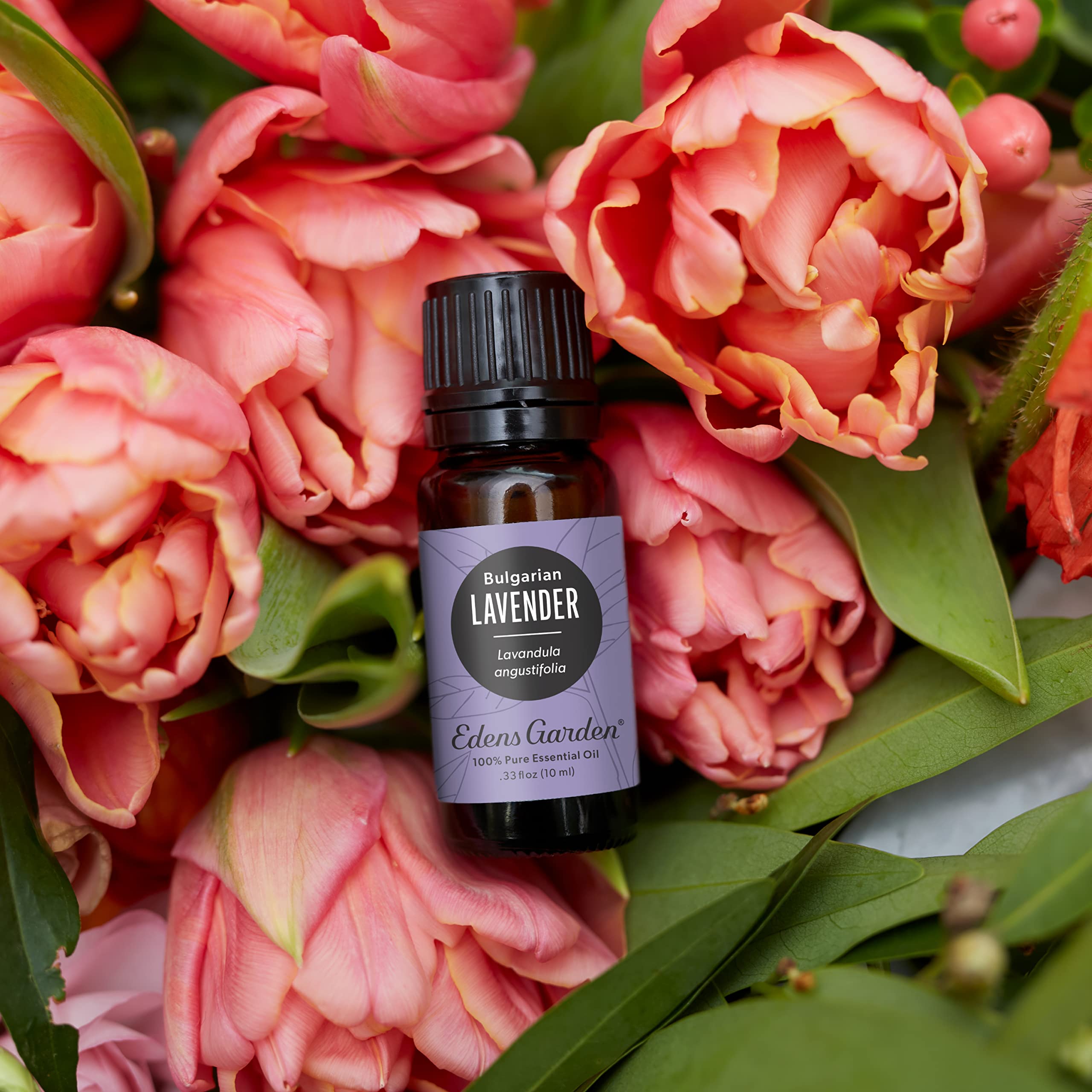 Edens Garden Lavender Bulgarian essential oil in diffuser setup for calm ambiance