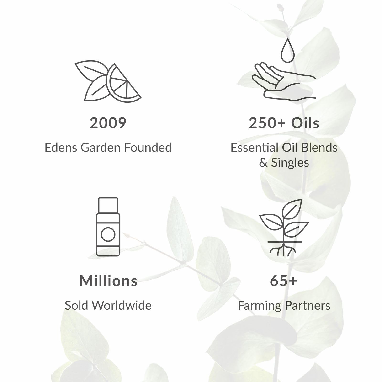Edens Garden Rose carrier oil mix ready for skin care rituals.