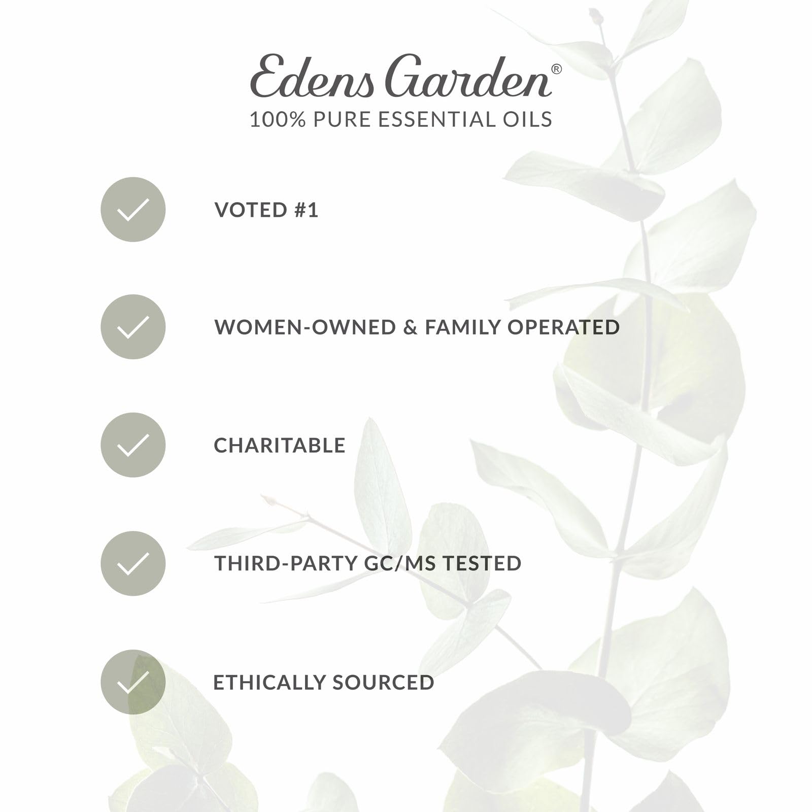 Edens Garden Rose diffuser steam fills cozy room with floral notes.