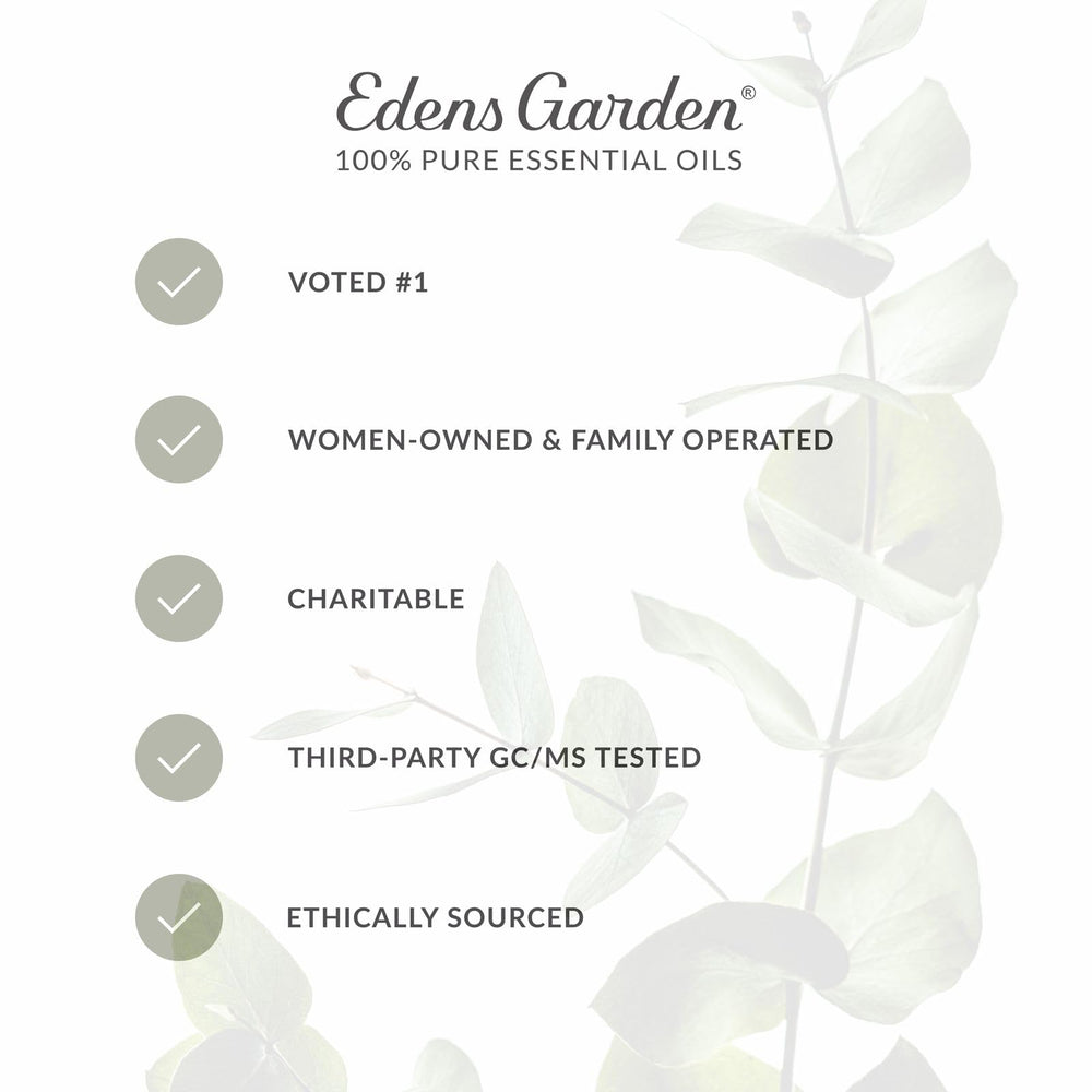 Edens Garden Rose diffuser steam fills cozy room with floral notes.