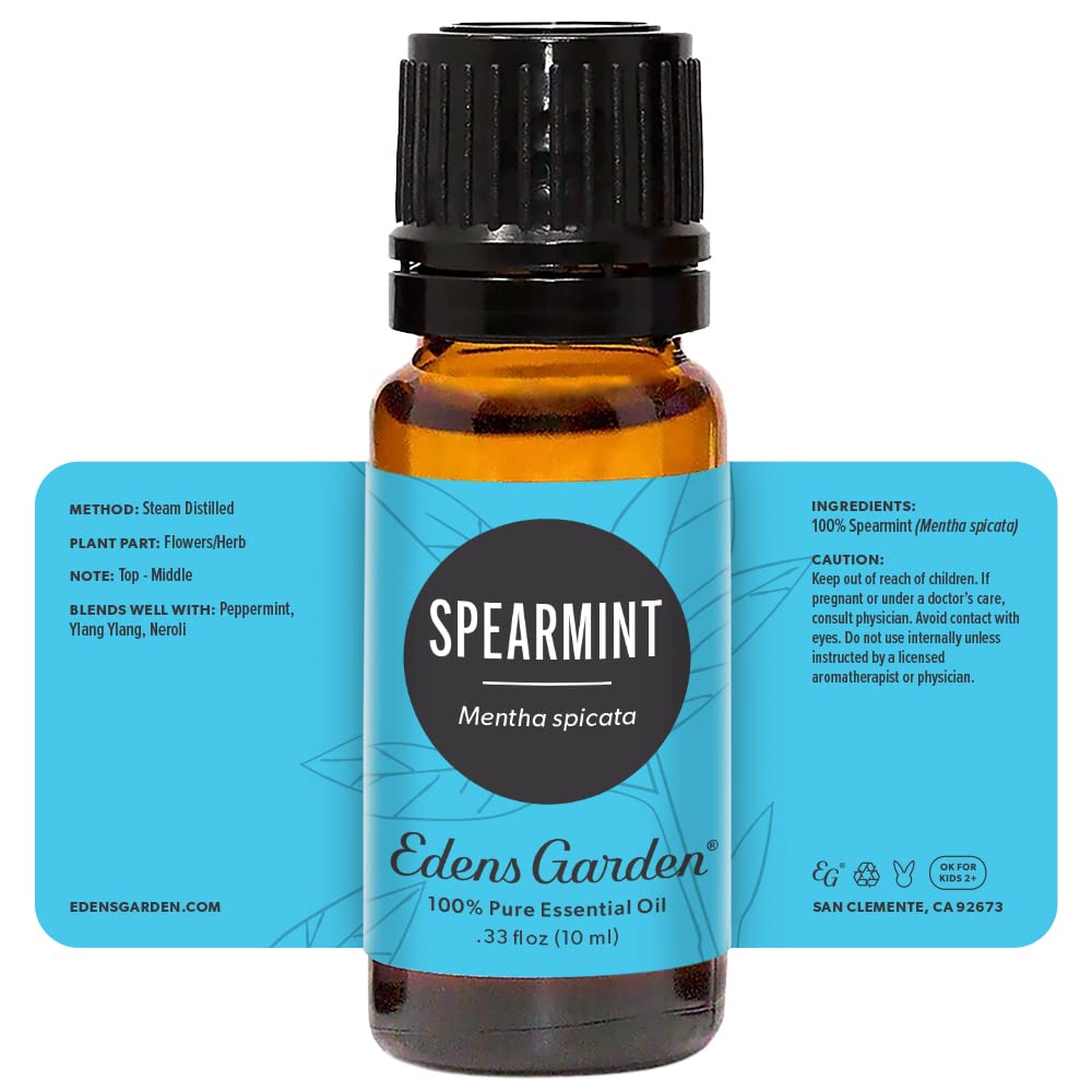Edens Garden Spearmint candle-diffuser setup—calm aromatherapy atmosphere.