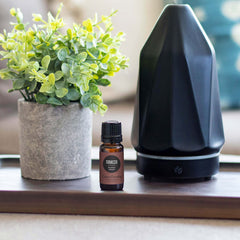 Edens Garden Tobacco Absolute bottle with dropper, great for precise blends.