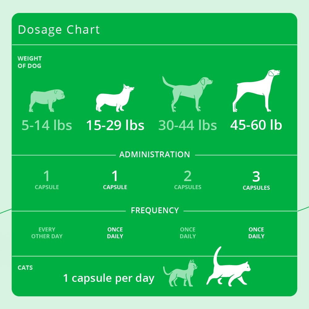 Eicosa3FF SnipCaps for cats showing simple administration.