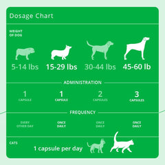 Eicosa3FF SnipCaps for cats showing simple administration.