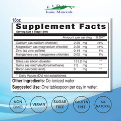 Eidon Mineral Wellness Support drops blending into water