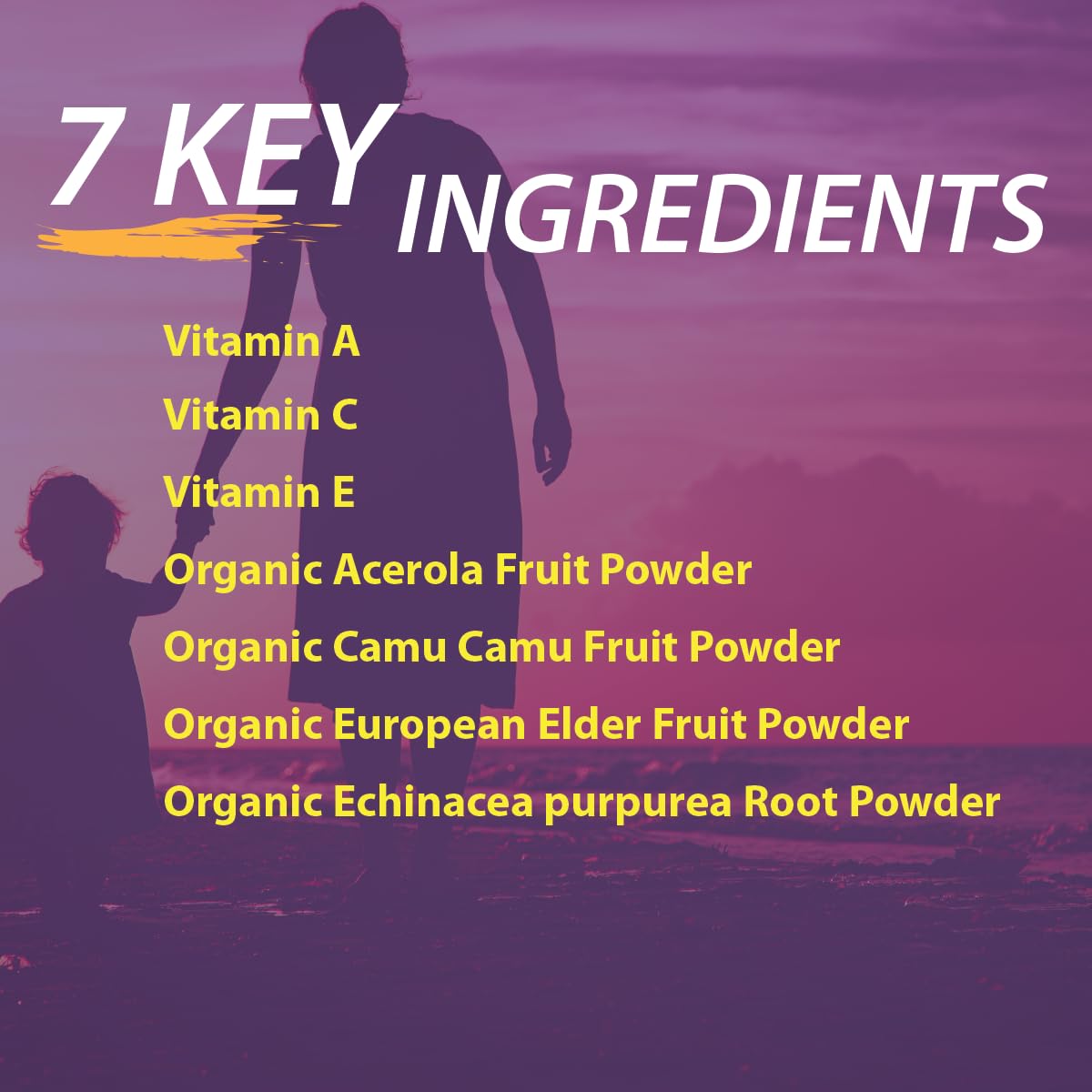 US FDA-registered facility ensures safe production for Elderberry Queen