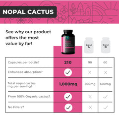 Eleva Nutrition Nopal Cactus Capsules provide a two-month supply in each bottle.