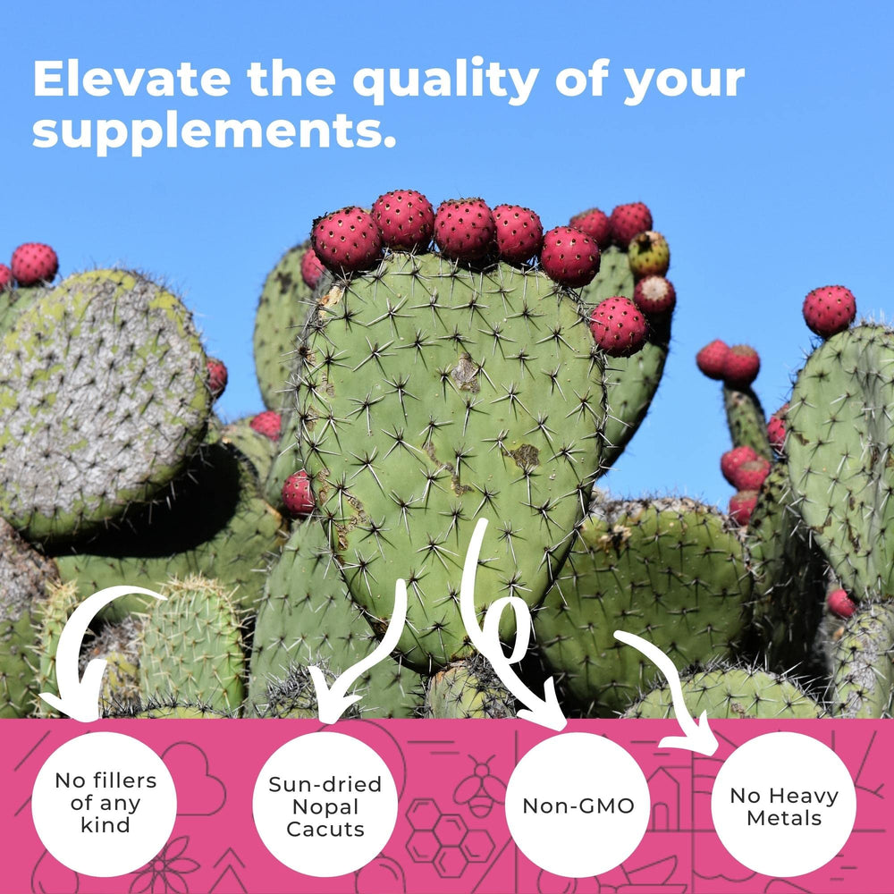 Eleva Nutrition Nopal Cactus Capsules are vegan and gluten-free for everyday wellness.
