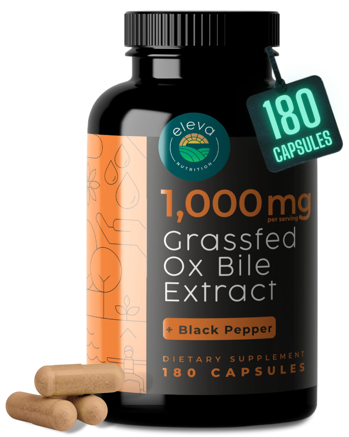 Eleva Nutrition ox bile bottle front view for digestive support