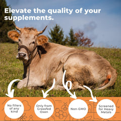Eleva Nutrition ox bile bottle label with 1000 mg dose and pepper