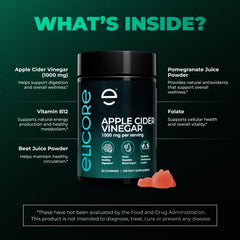 Vitamin B12 feature showing energy support in gummies