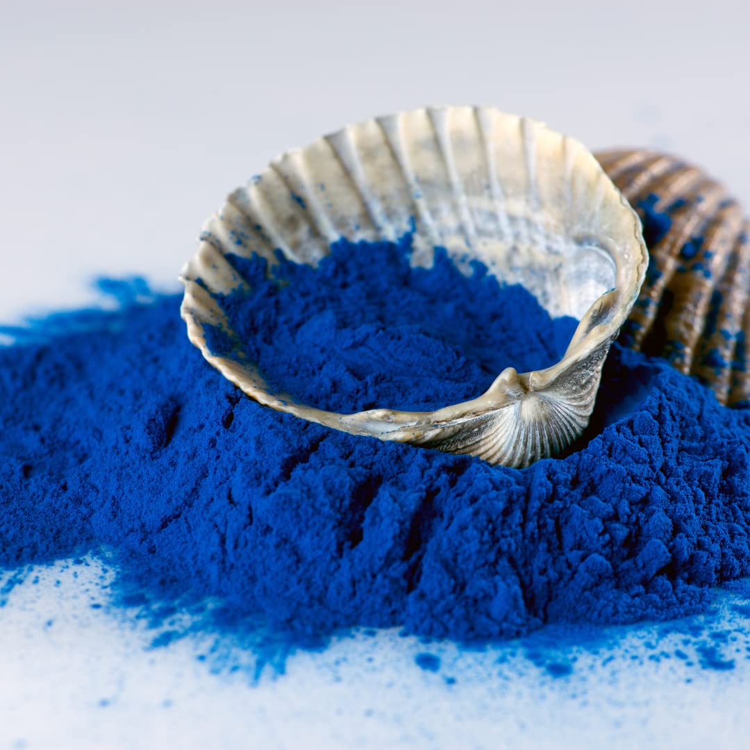 Scoop of Ellie's Best blue spirulina powder for easy protein shake portions.