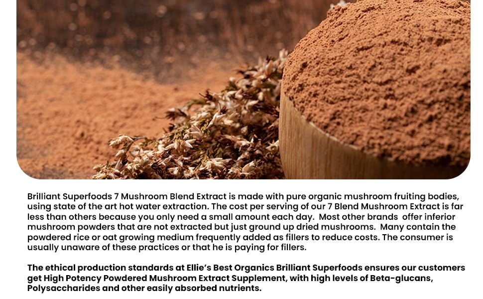 Ellie's Best double-extracted mushroom powder scoop highlights concentrated potency for quick use.