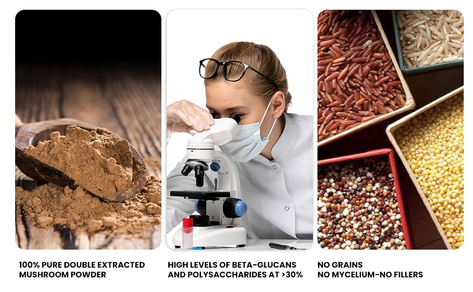 Ellie's Best pure extract close-up showcases authentic mushroom potency and clarity.
