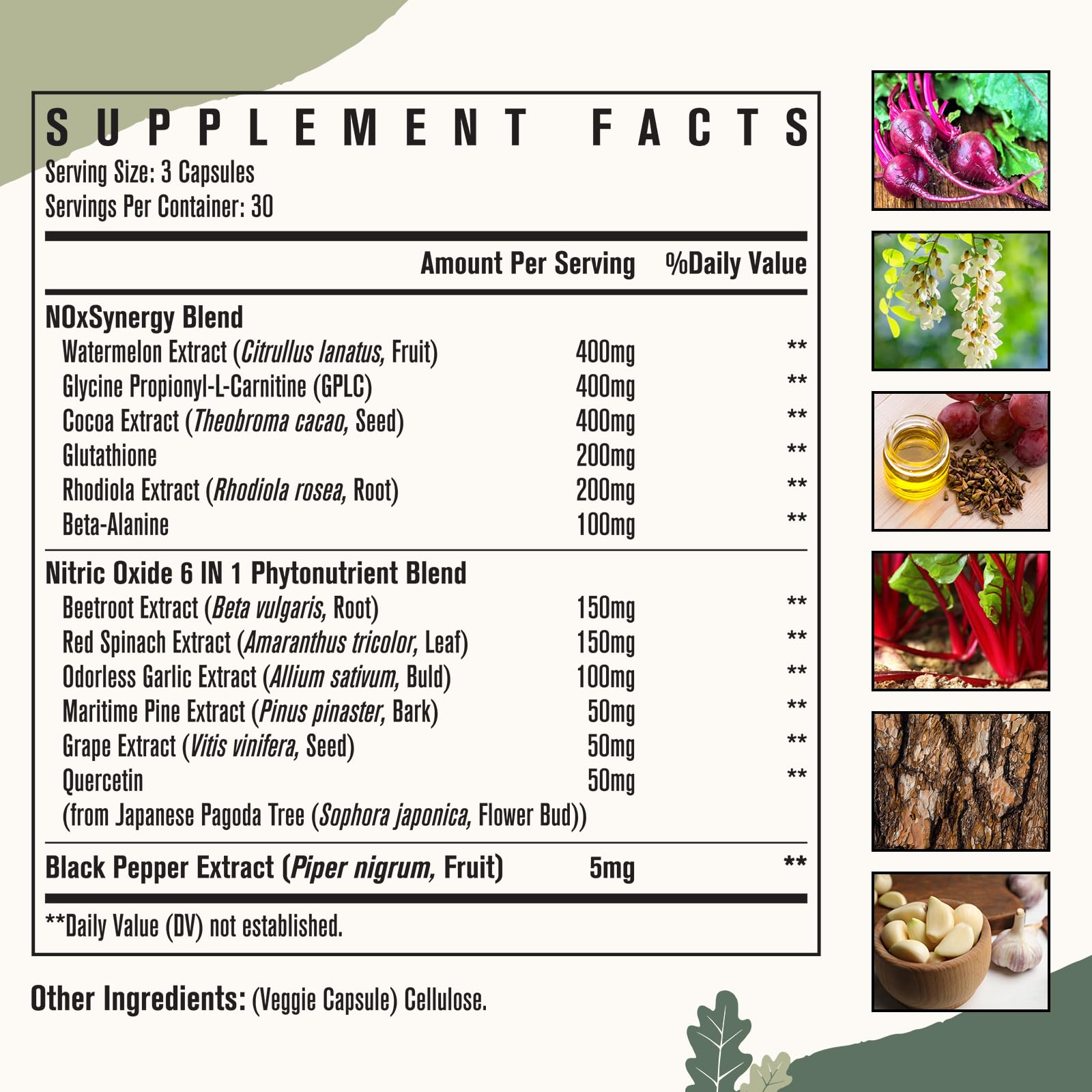 A facility shot with Energievoll signals responsible manufacturing and consistent quality.